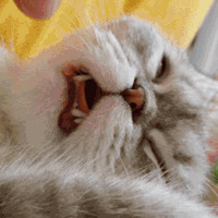 ��ʺ�ٳ�������˯���˾�Ȼ��������