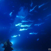 ��β������й����ͺ��ݼ���