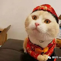 ������ʺ�ģ���ϲ���ƣ����������