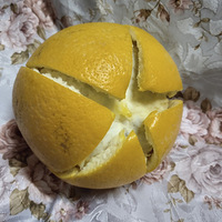 ڼҲ