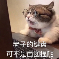 è��Ҫ����������һ���˶����Ƕ��֣�