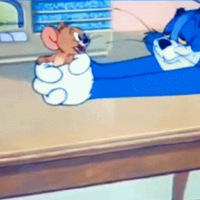 ʲô������è�����󡷾�Ȼ��һ����¼Ƭ��