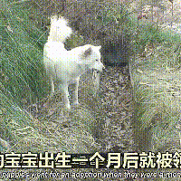 豳˽͵Ϊ...