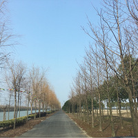 ͬһ�첻ͬ��·����ͬ�÷羰