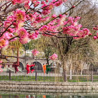 �ߺ�����