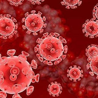 ����������֯��ҥ��û��֤����ʾ��è�ȳ�����Ⱦ���͹�״������