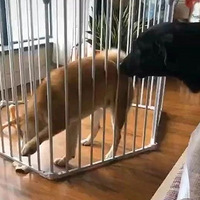 齱һСʳͷˡ