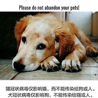 Ϊ鲻ҳţҺҼҹﻵˣ