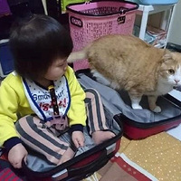 �����²�Ů����è��һ������ˣ���è��ƫ�ˣ���Ϊ�Լ�Ҳ��ֻè��