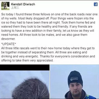 ���ô�������Сè���Ͻ���ˮ���벻��ȴ�����Ѵ���ΪӢ�ۣ���Ϊ.