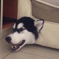 ЦʺˣҰɳһıͷˡ