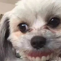 ӵľڱ˷֣ʺ͵˯˵Ĵ