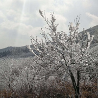 ������ȥ�˶���ɽͽ����ͽ������ɽ���ܷ糵�ݵ������