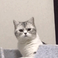 �ҵ��ˣ�ԭ�����������Ǳ���������ֻè��