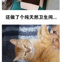 �������岻ϲ��è��ȴ��ָ�����èι��������������ˣ�