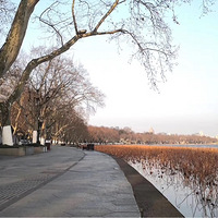 �����ĺ��ݣ��������