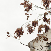 С������