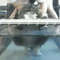 ������̫���ˣ����ǲ�ʺ��Ϊ�����˷����˻�ʽ���ʴ󷨡�����