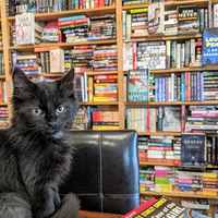 �����겻�����Կ���ߣè�������黹���԰ѵ������ߣ�