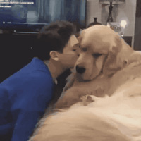 ڹǰж౰΢