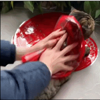 ����լ�ҵĲ�ʺ�ٺ�����������ʲô��