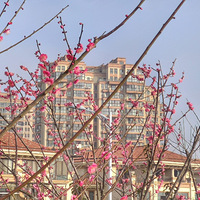 ����7����