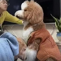 è乷챻˱Ʒ裺Īӣզȥϰ