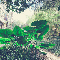 ������С������ɢɢ����һ������С������ͨ��֤ʡ���á�����