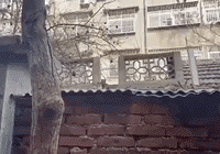 ·����ֻ�����ֵ�����è�����ѣ��˵��ź������ˣ�