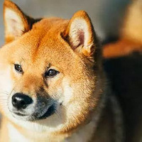 ܶһ嶯Ȯȴ֪ǵ˶֮󳬺