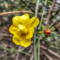 ӭ������