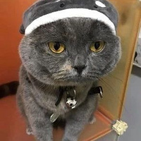 ���è�±���������������������ʱ���ڴ���������������ᣡ