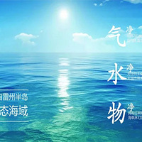 �ٲ����˳��ţ��Ҽ�è�����ȷ��ˡ�