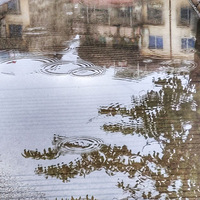 ���첻����