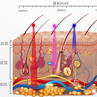 �����ڼ��ڼ��Լ���ˮ�⣬���Ѫ����
