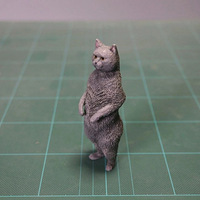 ��Ϊ��������������ˣ���ֻè���ձ���ɳ���ְ���ж����ˣ�