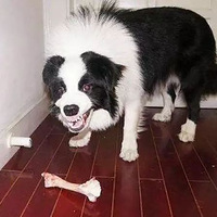 ʳЩΪ⣬Ҫˣ㡰СĻ