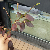 ϣ����������