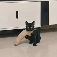 ����һ�μ�è��ʯ�࣬���Ц�磡��