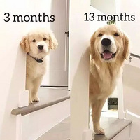 10´С̹ʵǳô