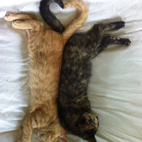 è�����˭���øʰ��·磬����ѽ��