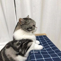 ��ֻ�������ɰ������ȴ����ס������İ�����