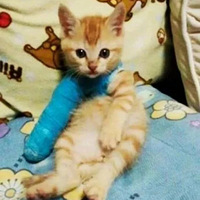 èè��ǰ�Ź��۱�����ʯ�࣬����ͻȻ�ͱ��ˡ�