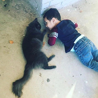 ����èһ�𳤴�ĺ��ӣ����ء����ܣ���