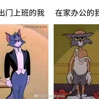 �ڼҰ칫����ʵ״̬���ұ�����è�Ʒ��ˣ�