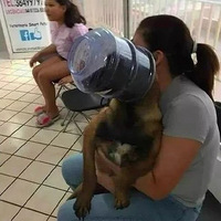 ÿгΪ٤ʦ֣