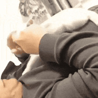 Ů������ע���ˣ�ǧ����������������è������