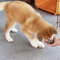 ùŰúùܻ뽹ǣܱ֤ȫ