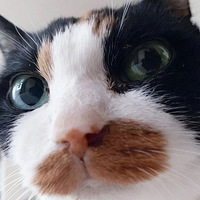 ��è������п���ɫ��ɫ�飬���˿���������͵��û���죡