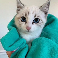 è���������װͰͲ����˿�����������Աֻ����������